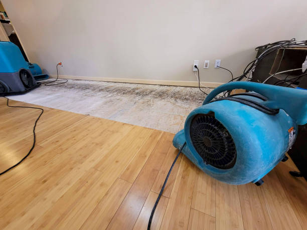 Professional Sewage Cleanup technician working in Saint Francis, MN
